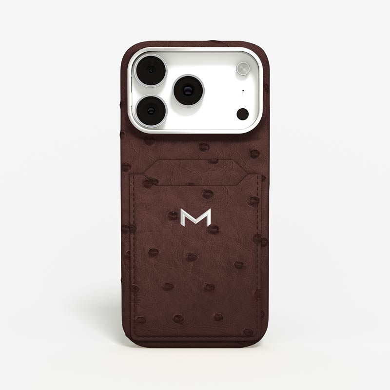 Luxury Cardholder Case for iPhone 18 Pro Max in Ostrich color Brown Jewelry Silver front view